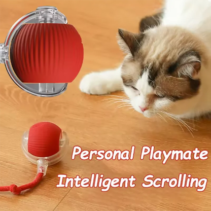 Intelligent interactive cat ball long-lasting and durable