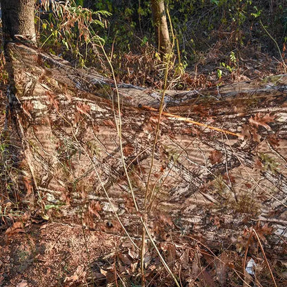 Camp Netting Blind Material Cover Realistic Camouflage