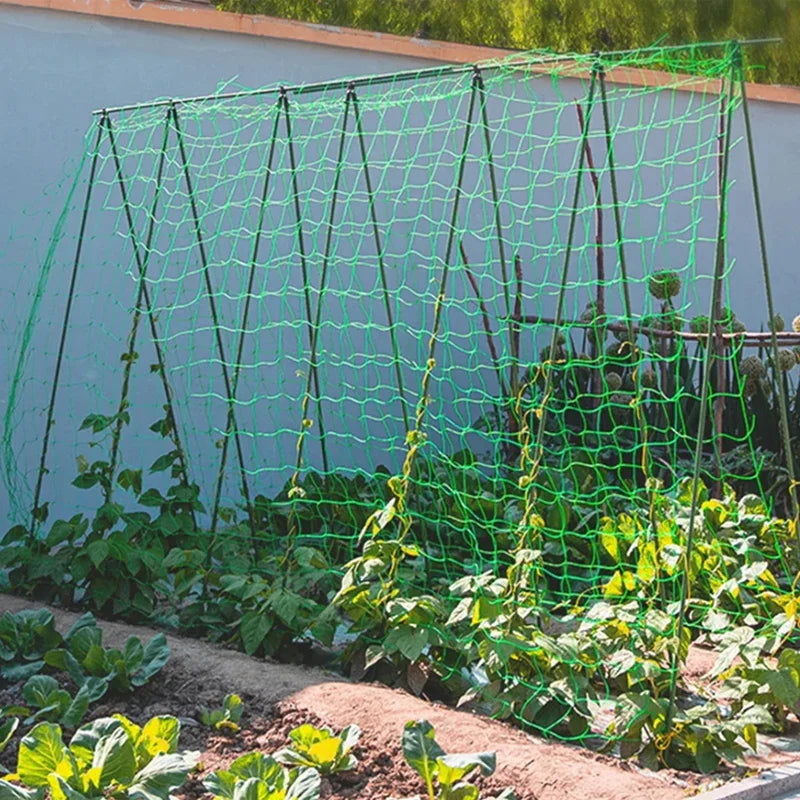 Plant Trellis Pergolas, Heavy-Duty Polyester Grow Net,