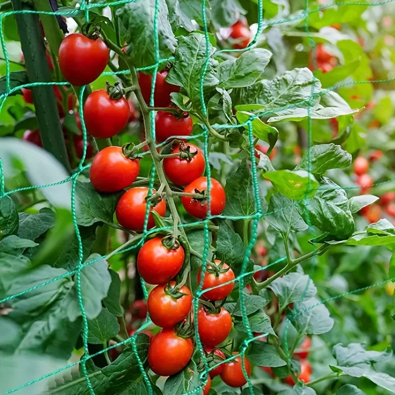 Plant Trellis Pergolas, Heavy-Duty Polyester Grow Net,