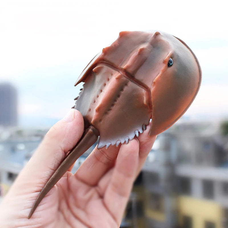 Sea animals Horseshoe Crab Figurine - Plastic Model Anime figures