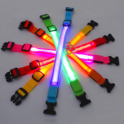 3 Modes Dog Luminous Charge Collar Led Usb Cat Dogs