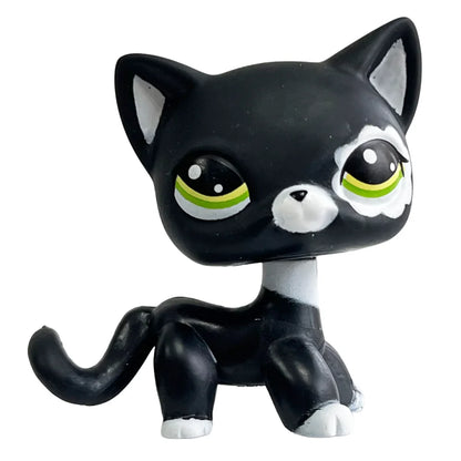 Rare pet toy Stands Short Hair Kitten Dog Dachshund Collie