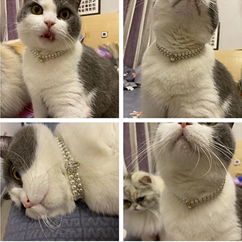 Luxury Cat Puppy Pearl Necklace Rhinestone Collar for Cats