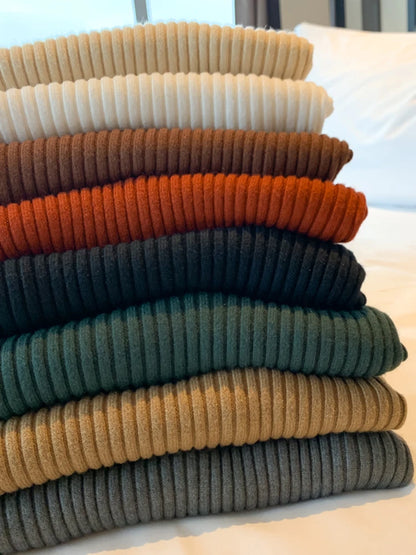 Elegant Solid Basic Knitted Tops Women Turtlneck