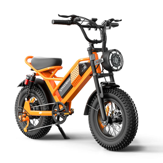 Spacewalk 750W Electric Bike for Adults,21.6MPH 70 Miles,48V 15.6Ah