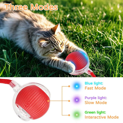 Dog Cat Interactive Ball Toy Automatic Rolling Ball Faux Tail