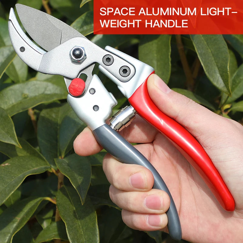 Gardenin Fruit Tree Pruning Shears Branchs