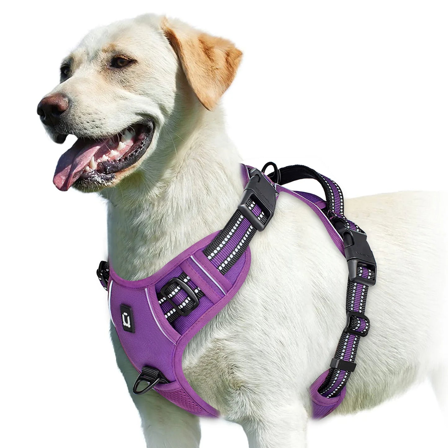 No Pull Dog Harness, Adjustable Soft Padded