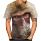 New casual men's new 3D design spoof gorilla funny monkey