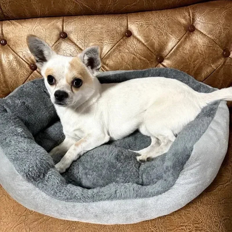Very Soft Warm Dog Bed Pets Basket Cat House Sofa