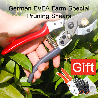 Gardenin Fruit Tree Pruning Shears Branchs