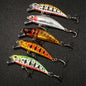 5 PCS Luure Kit Sinking Minnow Trout Artificial Bait Crank Bait Bass Hook