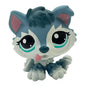Rare pet toy Stands Short Hair Kitten Dog Dachshund Collie