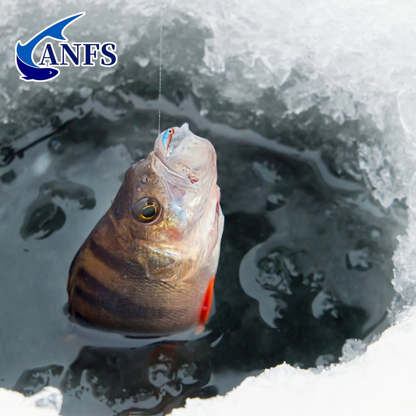 ANFS Ice Fishing Lures Ice Fishing Jigs Kit-10 Pack Ice