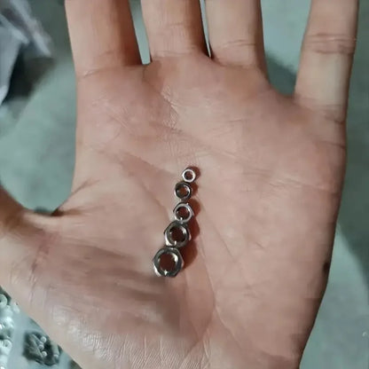 320pcs Premium Stainless Steel Screw and Nut Assortment Kit