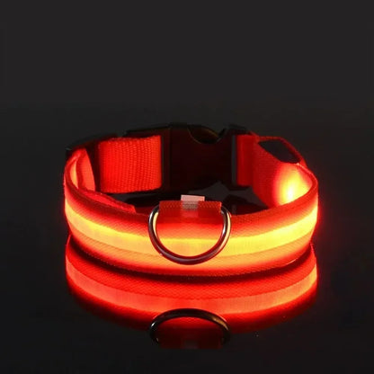 Light Up LED Pet Dog Collar Safety Night Walking Flashing Glow