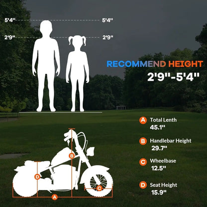 Electric Motorcycle for Kids 24v 250w Electric Dirt Bike