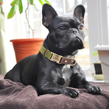 Free Custom PU Leather Dog Collar Engraved Dog Collars