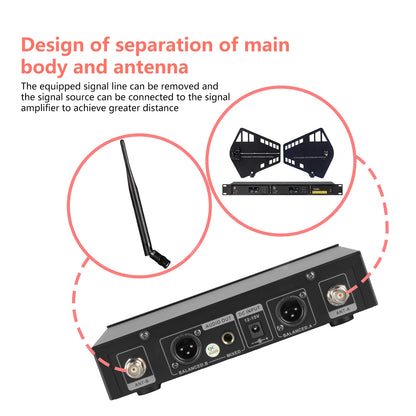 Top Quality！ew100g3 Professional Dual Wireless