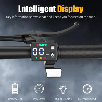 Folding electric scooter with trunk, 500W motor