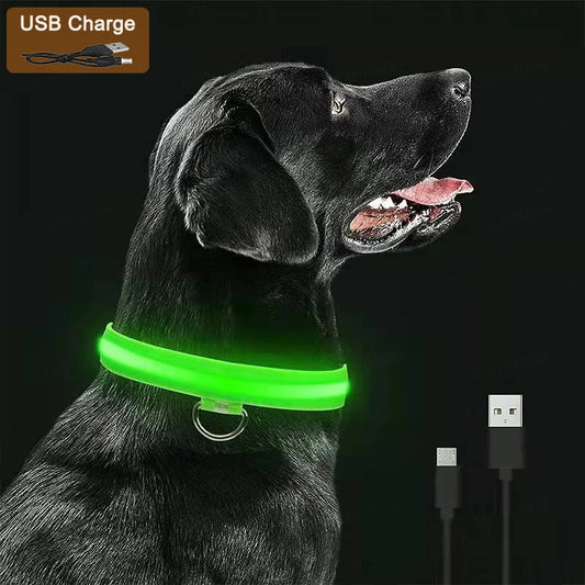 3 Modes Dog Luminous Charge Collar Led Usb Cat Dogs