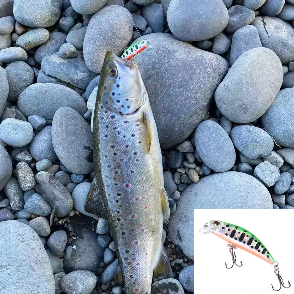 5 PCS Luure Kit Sinking Minnow Trout Artificial Bait Crank Bait Bass Hook