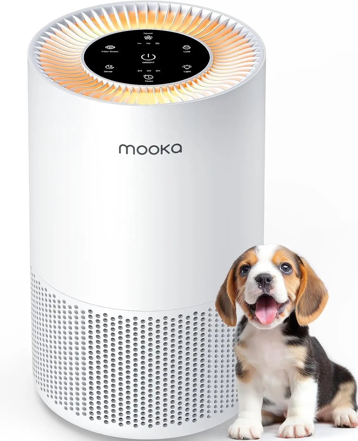 Large Room Air Purifier up to 1200ft² with H13 HEPA F