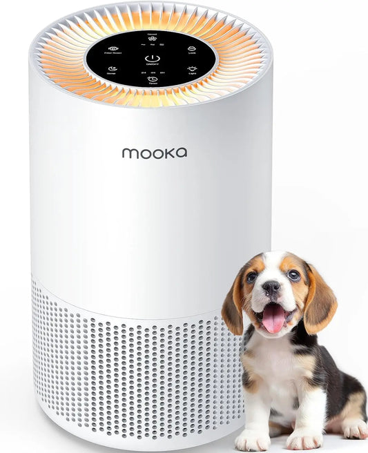 Large Room Air Purifier up to 1200ft² with H13 HEPA F