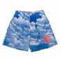 New Summer Eric Emanuel EE Basic Mesh Shorts