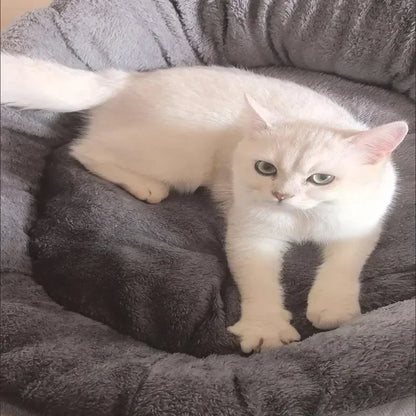 Very Soft Warm Dog Bed Pets Basket Cat House Sofa