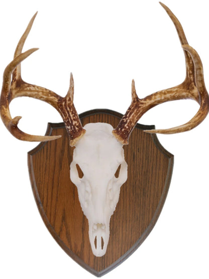 Oak Base Shields Solid Oak Shield Antler Taxidermy Plaque